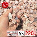 ФΤȤʤSTեȤ㤨ֺ ԥ SS 220kg22kgx10ޡ   𥷡Ȥξ ߤ  Ѻ к     ־  diy åǥ  ǥ˥ åå  ǥå ɥ饤ǥפβǤʤ38,870ߤˤʤޤ