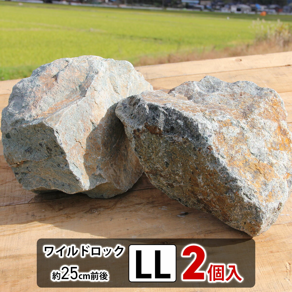 ＼クーポン9/11 1:59迄／庭石 大きめ ロックガーデン 石 割栗石 ワイルドロック2L 2個入 グレー ブラウン 茶 ガーデニング ガーデンロック クラッシュロック ドライガーデン 栗石 みかも石 特大 おしゃれ ガビオン 庭 敷石 花壇ブロック 庭 置くだけ 石 花壇 庭 雑草対策のサムネイル