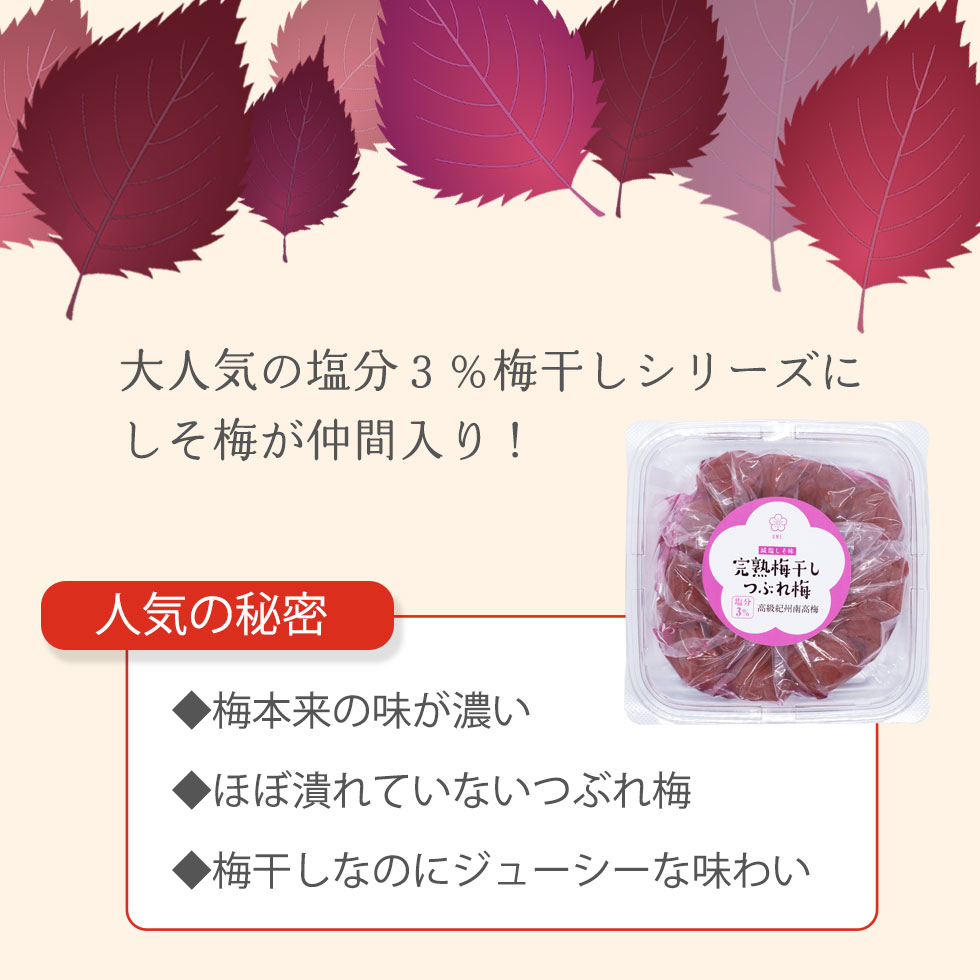 訳あり 梅干し しそ 減塩 塩分3%【リピート率No.1】大粒 完熟紀州南高梅 1.6kg (400g×4個) 【つぶれ梅 しそ梅】 完熟梅干し つぶれ梅 お歳暮 ギフト しそ梅 紫蘇 梅干し 梅干 梅 塩分控えめ 低塩 塩分補給 熱中症対策 ギフト 梅干し うめ 送料無料