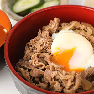 無添加 牛丼の具 5食セット 冷凍 牛丼 レトルト 保存食 5食 冷凍食品 冷凍発送