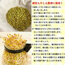 緑豆 送料無料 ＼こだわった方に選ばれる 緑豆／ ムング豆 ムングホール 皮付き 1kg 業務用 緑豆もやし 乾燥豆 青小豆 GREEN MOONG WHOLE 台湾スイーツ おかゆ 豆ご飯 備蓄 備蓄食 防災 防災食品 緑豆 もやし 節約 緑豆 もやし 自家製 手作り 3