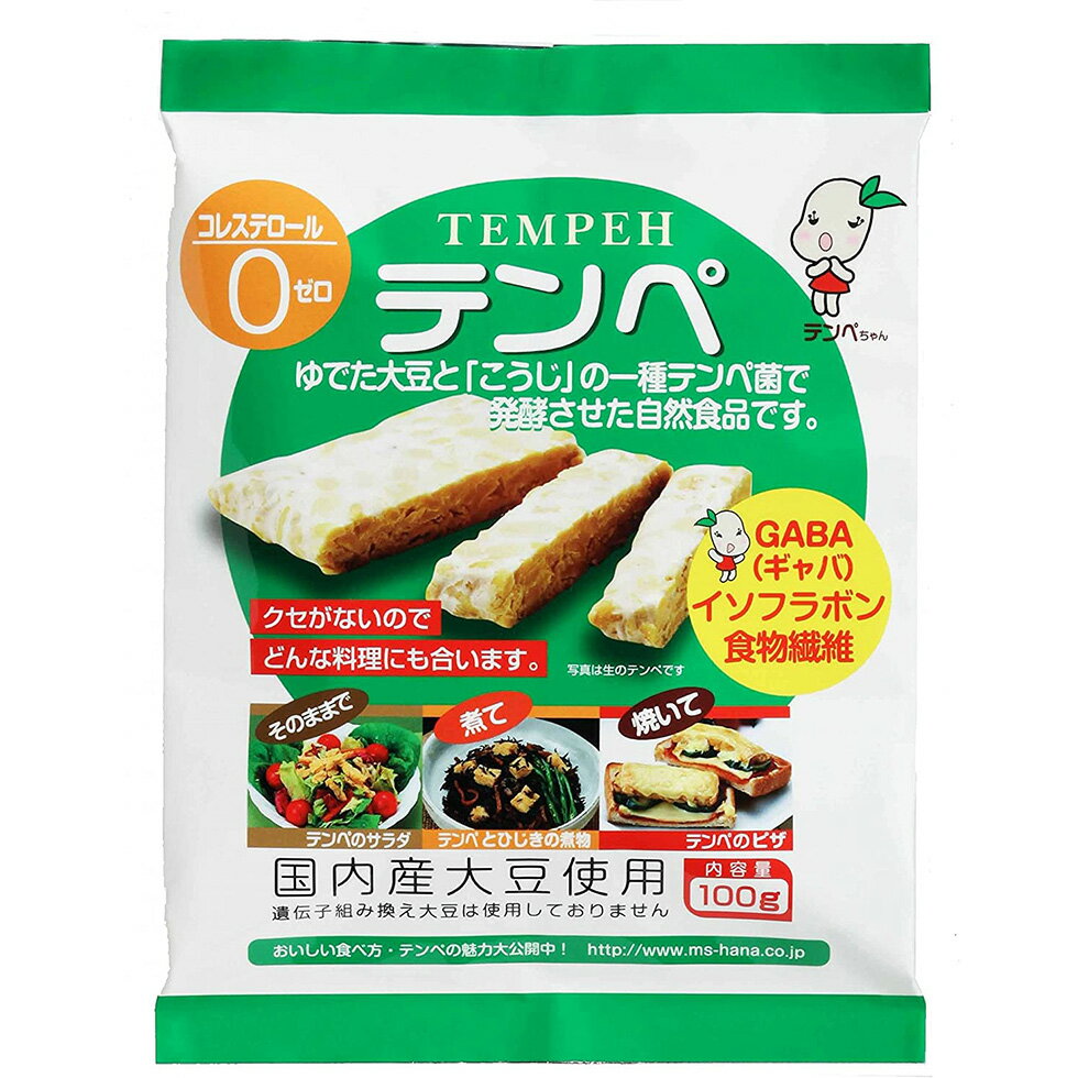 テンペ マルシン食品 テンペ100g×10個 保存食 非常食 常温保存 タンパク質 ダイエット 糖質 ...