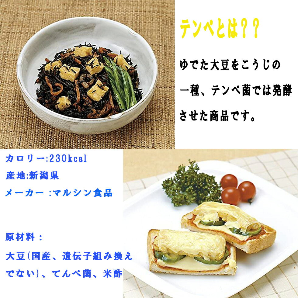 テンペ マルシン食品 テンペ100g×10個 保存食 非常食 常温保存 タンパク質 ダイエット 糖質 糖質制限 大豆 テンペ 大豆発酵食品 発酵食品 ベジタリアン ヘルシー インドネシア 大豆テンペ 健康 テンペ 大豆ミート 常温 防災 防災グッズ 長期保存 ヴィーガン 肉 代替品 std-corp-10001399 BAYU STORE サンプル画像2