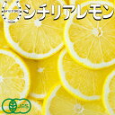 レモンランキング1位獲得 有機 JAS シチリアレモン 輪切り 500g 農薬不使用 防腐剤 防かび剤不使用 ノーワックス 皮ごと食べられる オーガニック 冷凍 スライス レモン レモンティー デトックスウォーター 料理に スライスレモン 送料無料 ※北海道 沖縄 離島を除く