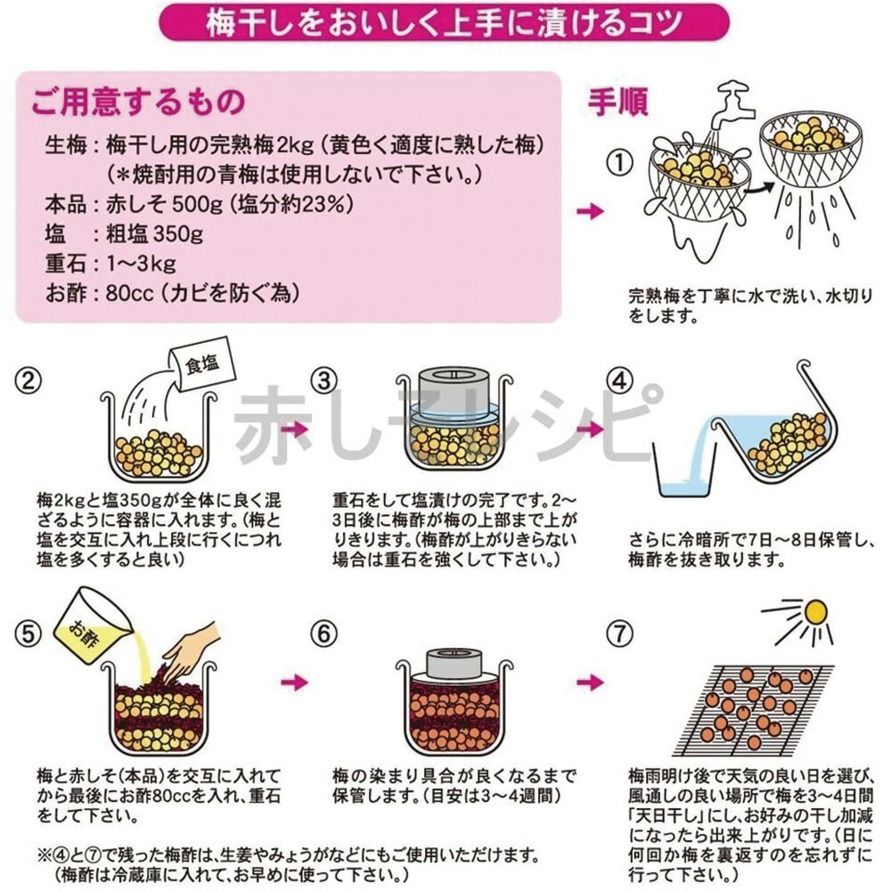 赤しそ 国産 100% 生梅2kg用 500g×10袋 上質 ちりめんじそ使用 大容量 簡単 梅干し作り 手作り 梅干し 赤しそ 赤紫蘇 赤シソ アレルギー 花粉症 自家製 梅 梅干し しそ 紫蘇 家庭用 業務用 国内産 赤じそ 花粉 神尾食品工業 かみお 送料無料 ※北海道・沖縄・離島を除く