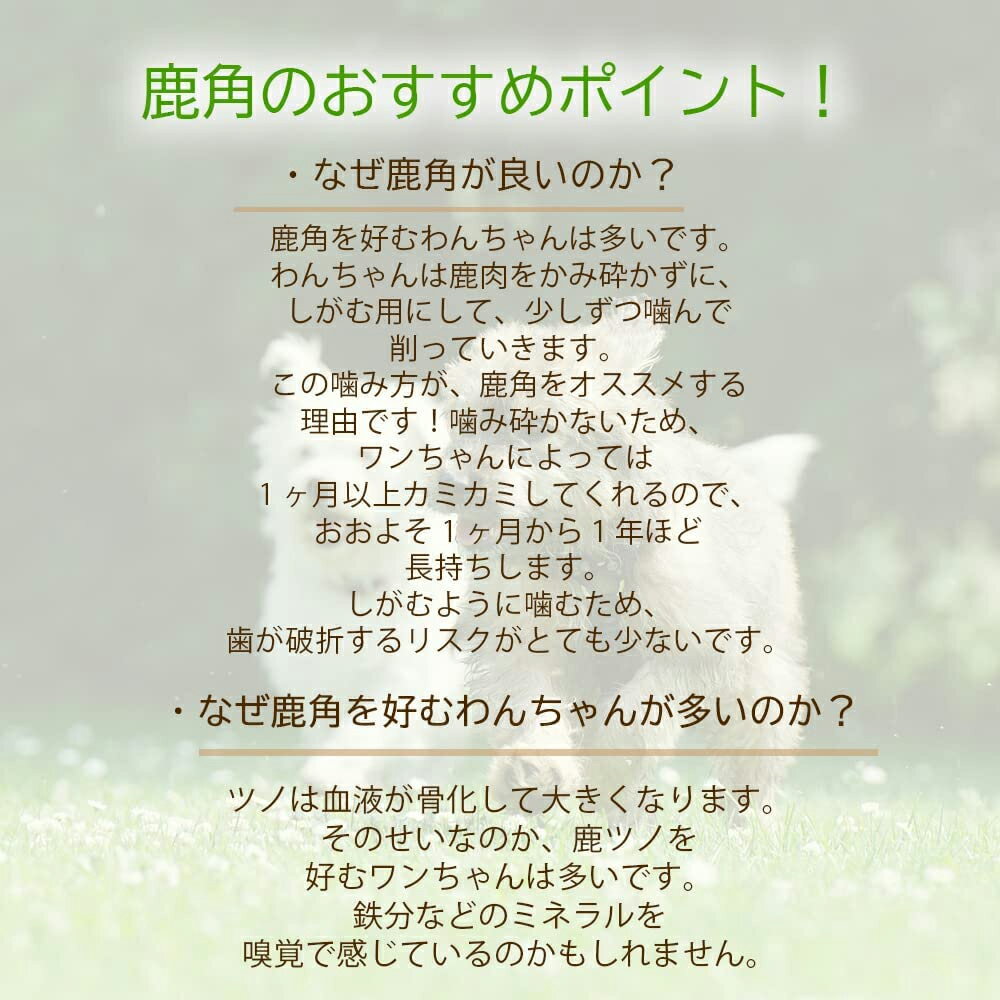 鹿の角 半割れ 約10cm【アニマルシェ公式】獣医師監修 鹿角 熱消毒 角は丸く加工済...