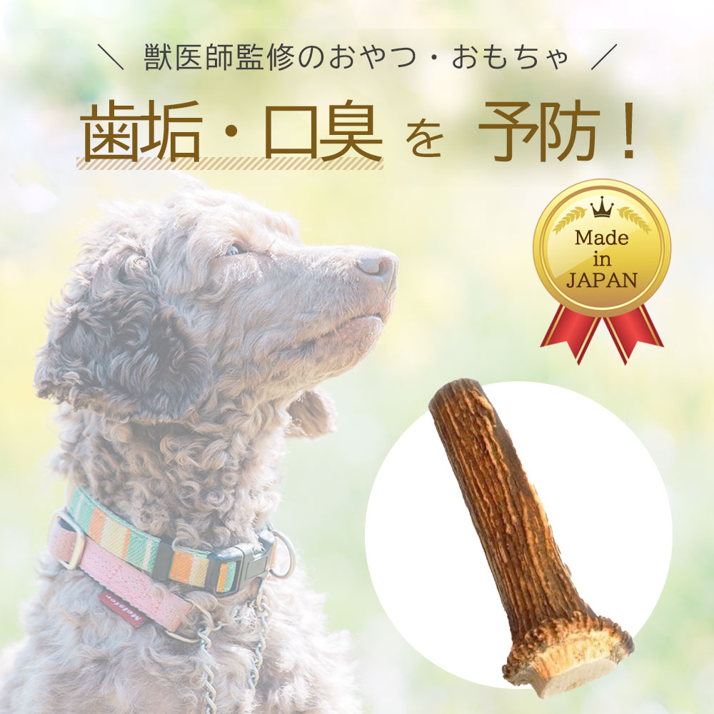 鹿の角 半割れ 約10cm【アニマルシェ公式】獣医師監修 鹿角 熱消毒 角は丸く加工済...