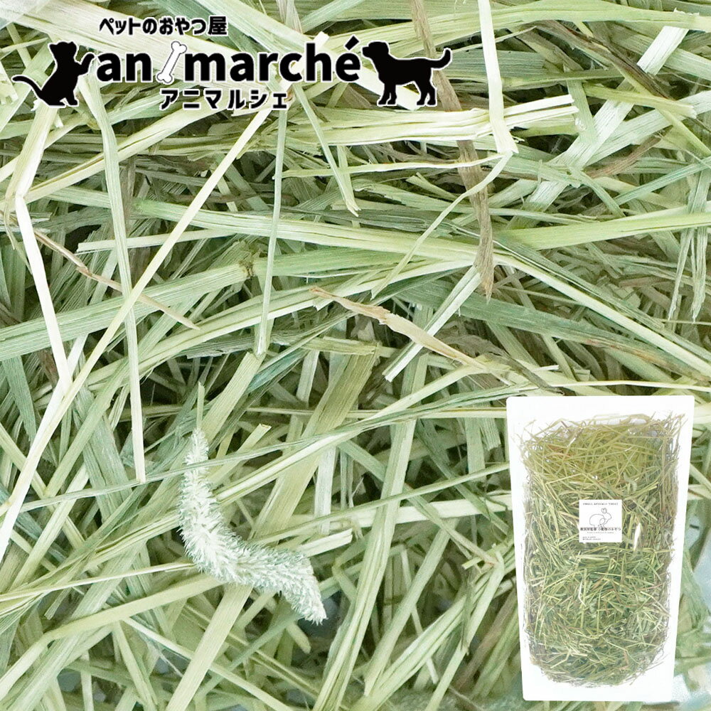 チモシー 牧草 1kg 【アニマルシェ公式】獣医師監修 うさぎ ペット用 プレミアムフレッシュチモシー (500g×2袋)【US産 1番狩り 小動物用】草 牧草 ウサギ チンチラ モルモット ハムスター テグー 小動物用 チモシー 一番刈り ペット 送料無料 ※北海道・沖縄・離島を除くのサムネイル