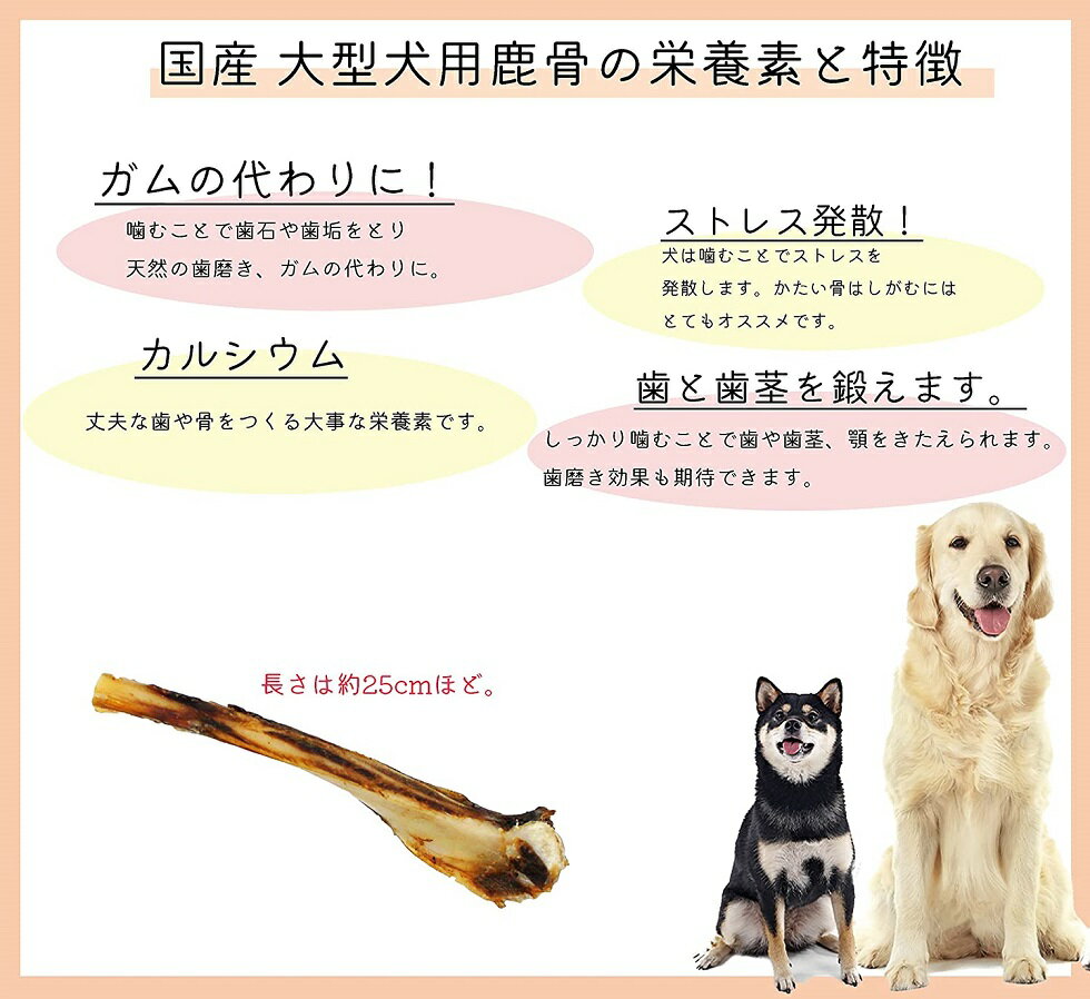 カラン Sale 65 Off 国産 大型犬用 鹿 骨約100ｇ 獣医師監修 グレインフリー ペットおやつ 犬用骨 犬用ジャーキー カルシウム ガム 天然の歯磨き 犬用