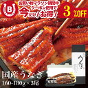 鰻 うなぎの蒲焼き お中元 ギフト 2025 大サイズ (160-180g×3尾) 国産 愛知県三河一色産 【うなぎ専門店小林商店】タレ付 備長炭 本格炭火焼き 贈答品 魚介 海鮮 ご自宅用 誕生日 お中元 お祝い 土用丑の日 国産 ウナギ 蒲焼き 鰻 蒲焼 送料無料※沖縄・北海道・離島は除く