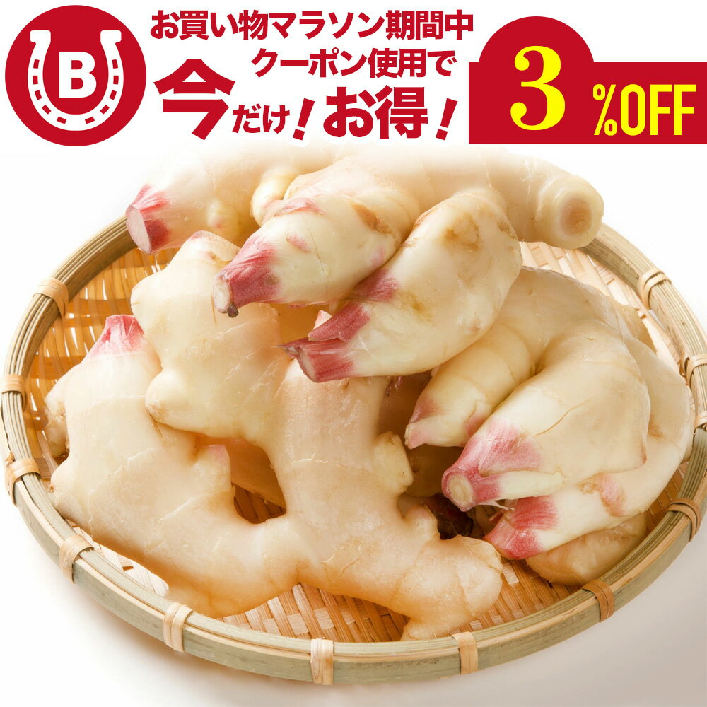 新生姜 約1kg 和歌山県産 サイズお任せ【フレッシュな和歌山県産の新生姜】季節野菜 マイルドな辛み 新しょうが しょうが 生姜 生鮮 野菜 ガリ 甘酢漬け 天ぷら 生姜湯 国産 新しょうが 国産新生姜 国産ガリ 漬物 国産生姜 食品 送料無料 ※北海道・沖縄・離島を除くのサムネイル