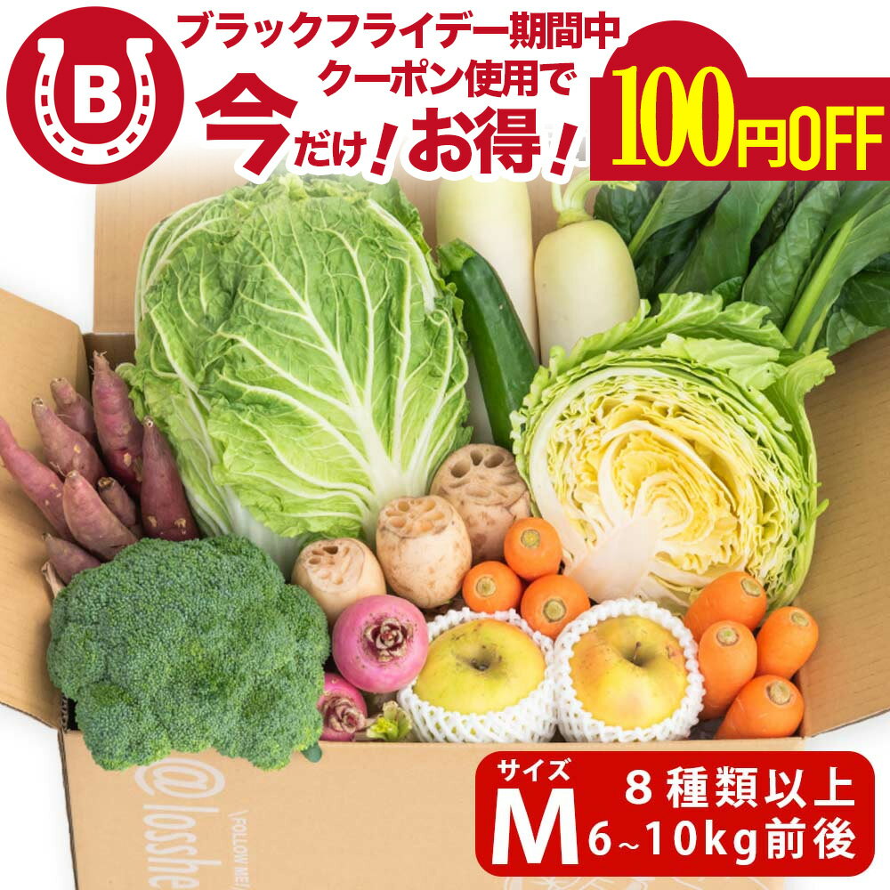 ロスヘル 野菜 果物 詰め合わせ セット 【合計8種類以上 約6-10kg 】 規格外野菜 SDGs ...