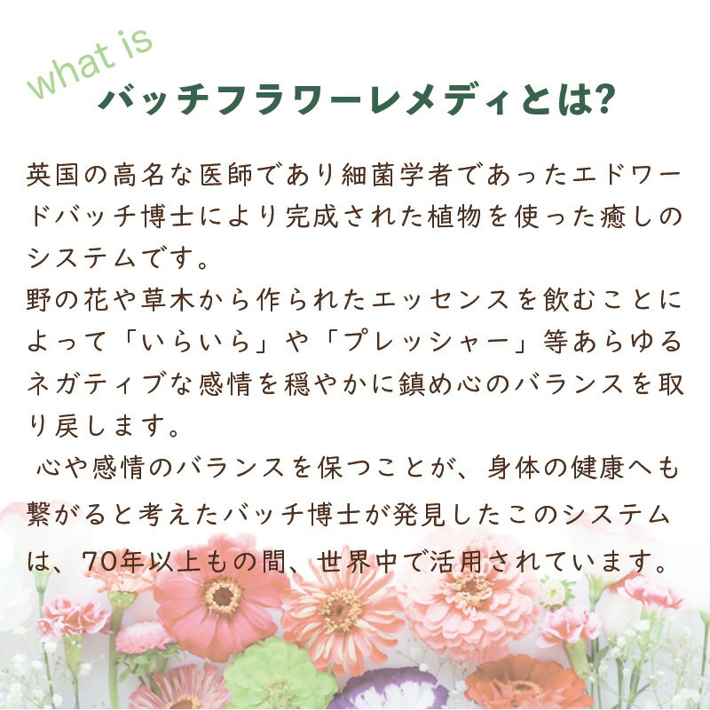 �Хå��ե� ���ǥ� �쥹���塼 10ml �ե����å��� ���å��� ��ʪ�� �������˥å� �����ꥹ ����ͳ�� �Хå��ե� ����̵�� �Хå��ե� ŷ�� ���� ���ǥ� ���å��� �ڥå� �ڥå��� ��ʪ�� ���� ���� ����� ������ ������ ����̵�� �ͥ��ݥ�