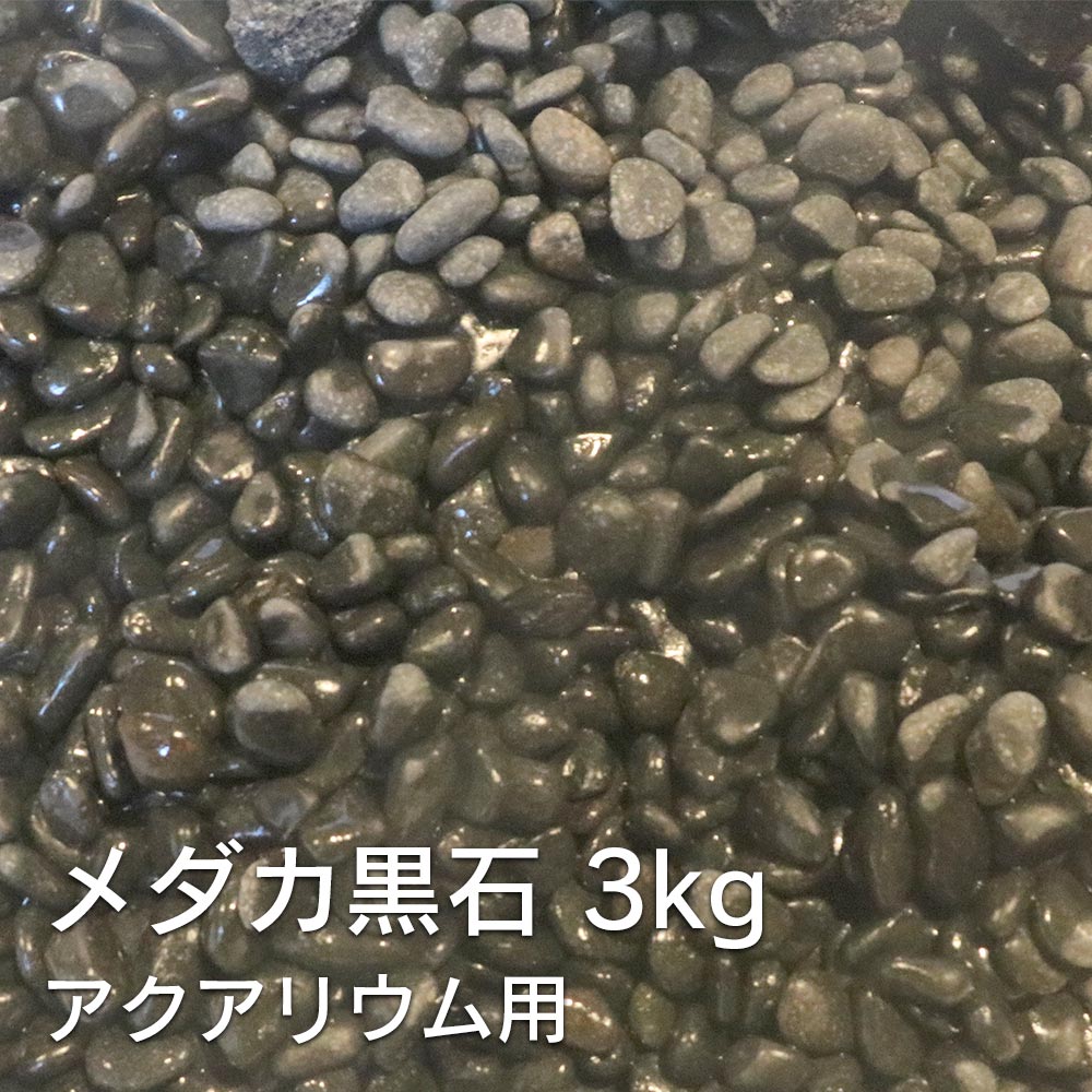 【金魚宝典】昇竜石（16cm＋−）☆天然石です！☆