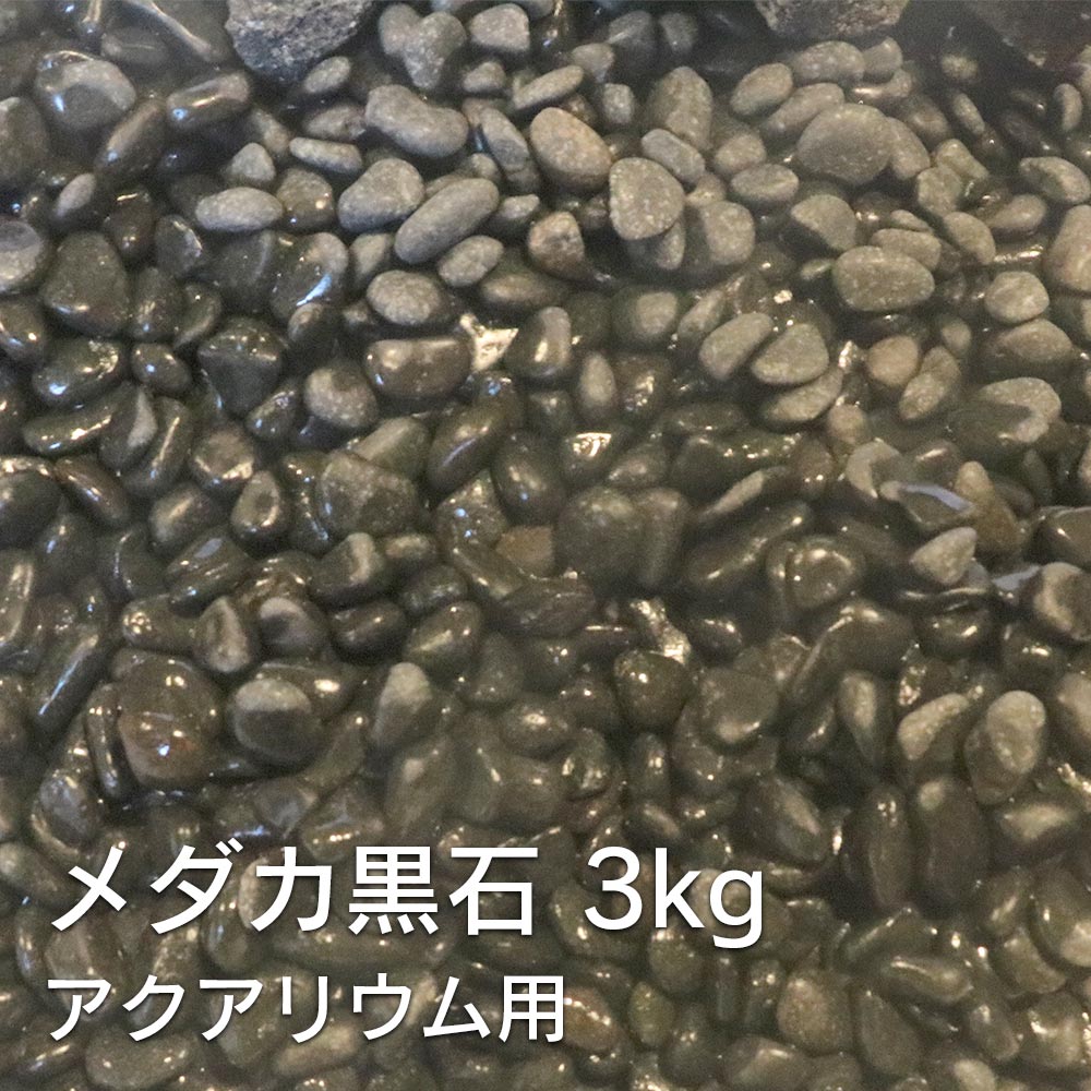  쥤ȥȡ󥭥1̳! ꥦ   3kg   ꥦ 쥤 ȡ  ...