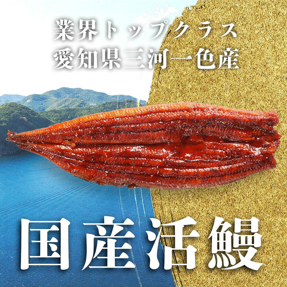 鰻 ＼ギフトにも大人気／ 愛知県産 うなぎの蒲焼き3種セット (1尾200gの特大サイズ長焼き/半身約50g/刻み50g)【うなぎ専門店小林商店】タレ付 備長炭 贈答品 ご自宅用 お正月 ギフト 内祝い お祝い 鰻 国産 ウナギ 蒲焼き 鰻 蒲焼 送料無料※沖縄・北海道・離島除く std-corp-10002003 BAYU STORE サンプル画像2