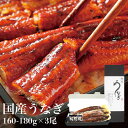 鰻 うなぎの蒲焼き大サイズ (160-180g×3尾) 愛知県三河一色産 【うなぎ専門店小林商店】タレ付 備長炭 本格炭火焼き 贈答品 ご自宅用 誕生日 ギフト お中元 お歳暮 お祝い 土用丑の日 国産 ウナギ 蒲焼き 鰻 蒲焼 送料無料※沖縄・北海道・離島は除く