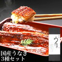 国産鰻 蒲焼き うなぎ 愛知県産 うなぎの蒲焼き3種セット (1尾160-180gの大サイズ長焼き/半身約50g/刻み50g)【うなぎ専門店小林商店】タレ付 備...