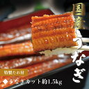 鰻 うなぎの蒲焼き (半身 約1.5kg) 愛知県三河一色産【うなぎ専門店小林商店】タレ付 備長炭 本格炭火焼き 贈答品 ご自宅用 ギフト お正月 お中元 お歳...