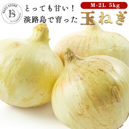 玉ねぎ 約5kg 産地直送 淡路島産 M-2Lサイズ【甘～い！ 淡路島たまねぎ 】大玉 農家さんよりお届け たまねぎ 淡路島玉葱 淡路たまねぎ 玉ねぎ 玉葱 タマネギ タマ葱 国産玉葱 人気 おすすめ 旬 野菜 国産 国産野菜 送料無料 北海道・沖縄・離島を除く