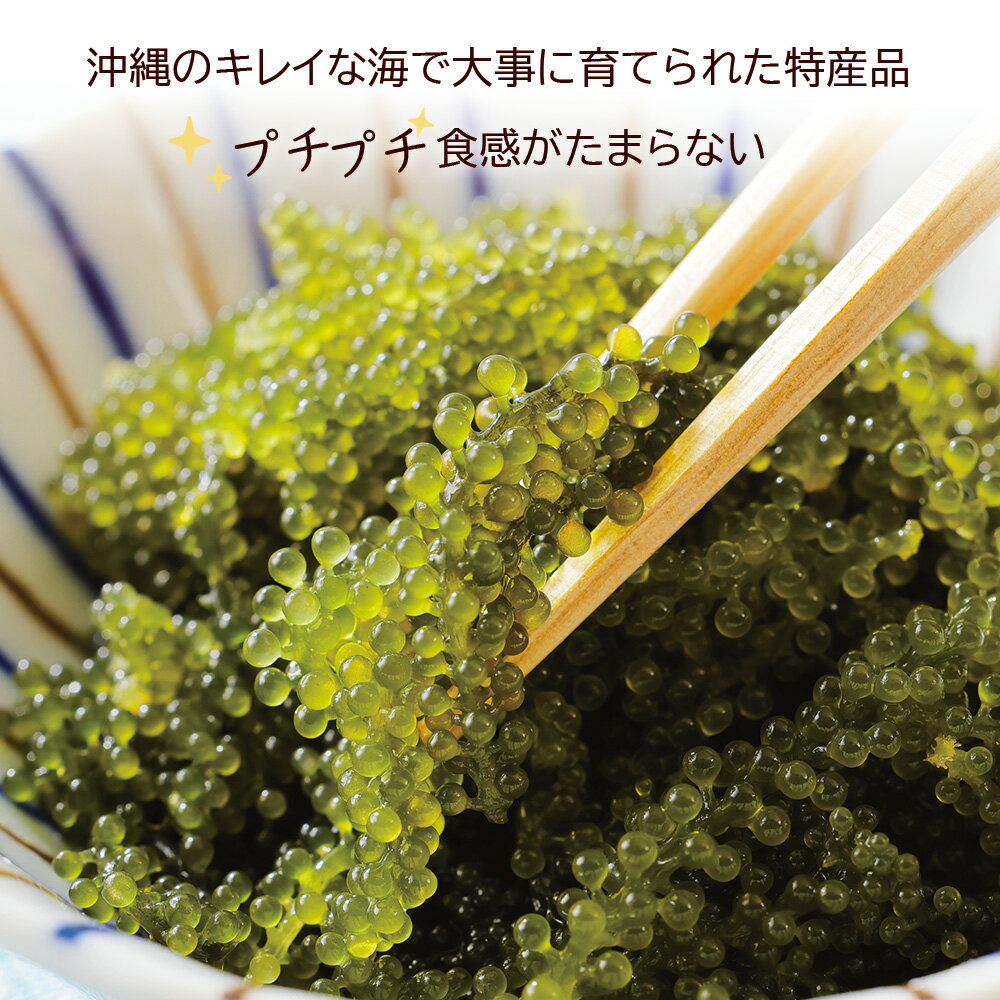 海ぶどう 沖縄産100％ 塩漬け 2セット(100g×2) シークワーサー タレ付き 沖縄特産 珍味 おつまみ 海ぶどう 沖縄特産品 沖縄料理 沖縄土産 グビレスタ 海藻 海ブドウ ミネラル 海ぶどう丼 海鮮 海産物 常温配送 送料無料 ネコポス メール便