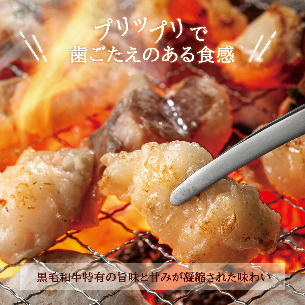 国産 黒毛和牛 ホルモン 5種 盛り合わせ 800g 国産ホルモン 特製味噌ダレ味 焼肉 BBQ バーベキュー 焼肉用 鉄板焼き おかず ホルモン セット 和牛 焼肉セット 小腸 ホルモン アカセン 赤セン マルチョウ 牛ホルモン たれ漬け 内蔵 送料無料※北海道、沖縄、離島を除く