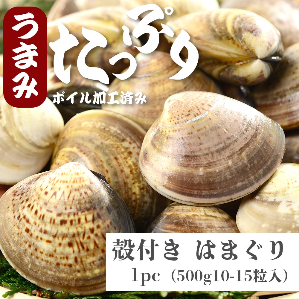 はまぐり 特大 冷凍 Lサイズ 500g (10〜15粒) おまけの塩 付き 冷凍食品 百日祝い ...