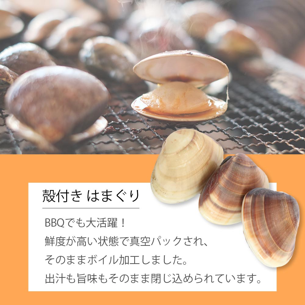 �Ϥޤ��� ���� ���� L������ 500g (10��15γ) ���ޤ��α� �դ� ���࿩�� ɴ���ˤ� ���㤤�� ���� BBQ ����� ��������� �� ���ۤ����å� �н� �ϥޥ��� Ⱥ ���ۤ���� ����̣ ���ޤ��Ĥ� Ⱥ �� ��ʪ ���� ���࿩�� �����ա��� ���� Ⱥ ����̵�����̳�ƻ����������