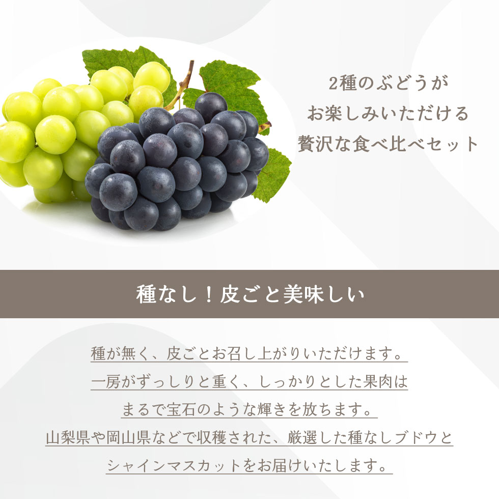 サンプル画像3