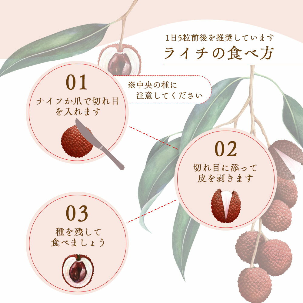 ���� �饤�� 1kg (500g��2��) ���դ� ���ռ���̵��ޤ��������ȥ��ԥ���ե롼�ġۺ����Ի��� ź��ʪ�Ի��� ��̳�� ���� ���ࡼ���� ����ɹ ���㡼�٥å� �饤���� �ȥ��ԥ���ե롼�� �饤�� �쥤�� ����饤�� �ե롼�� ��ʪ ���ե롼�� �ǥ����� �Х���� ����̵��