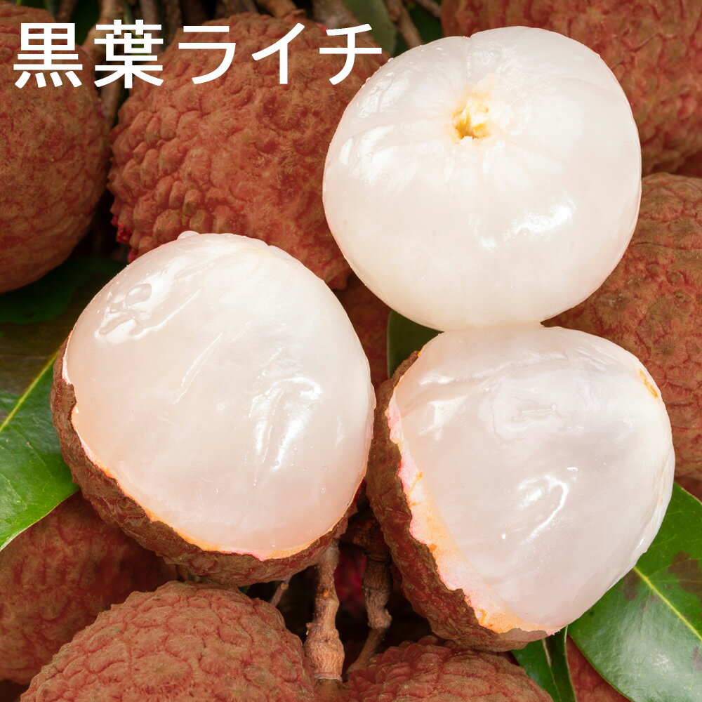 冷凍 ライチ 1kg (500g×2袋) 皮付き 黒