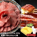 福袋 2025 豪華 松阪牛 A5等級 しゃぶしゃぶ用 400g & 国産 うなぎ 200g×2尾 うなぎ お肉 鰻 セット【超豪華セット】セット 贈り物 ギフト 贈り物 誕生日 おすすめ お祝い 贈答品 国産 冷凍 送料無料 ※沖縄・北海道・離島は除く