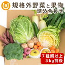 ロスヘル 野菜 果物 詰め合わせ セット 【合計7種類以上 5kg 前後】 SDGs 国産 規格外商品 お野菜 果物 フルーツ 季節のお野菜 季節の..