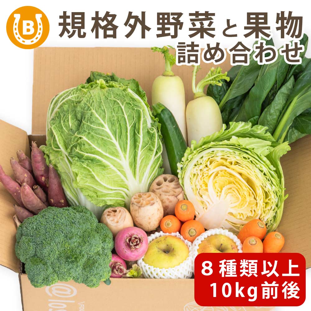 ロスヘル 野菜 果物 詰め合わせ セット 【合計8種類以上 10kg 前後】 SDGs 国産 規格外商品 お野菜 果..