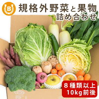 ロスヘル 野菜 果物 詰め合わせ セット 【合計8種類以上 10kg 前後】 SDGs 国産 規...