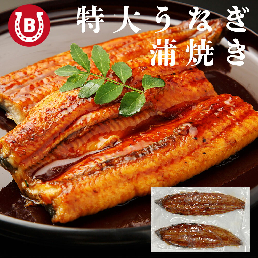 うなぎ 蒲焼き 【 超特大サイズ 2尾 】 約500g 簡易包装 自宅用 ウナギ 蒲焼 ひつ...