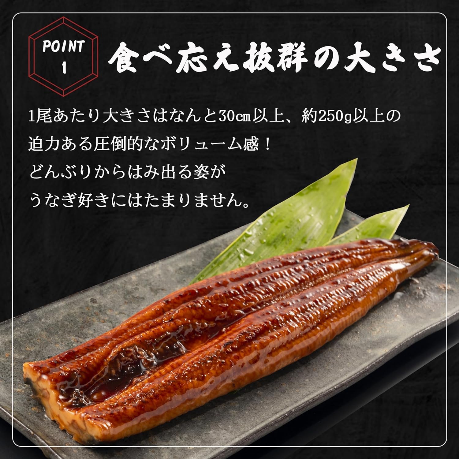 うなぎ 蒲焼き 【 超特大サイズ 2尾 】 約500g 簡易包装 自宅用 ウナギ 蒲焼 ひつまぶし お茶漬け うな重 うな丼 うなぎの蒲焼き 鰻 うな丼 特大 サイズ