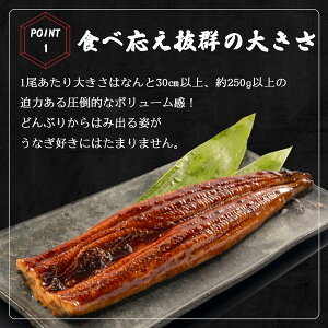 うなぎ 蒲焼き 【 超特大サイズ 2尾 】 約500g 簡易包装 自宅用 ウナギ 蒲焼 ひつまぶし お茶漬け うな重 うな丼 うなぎの蒲焼き 鰻 うな丼 特大 サイズ