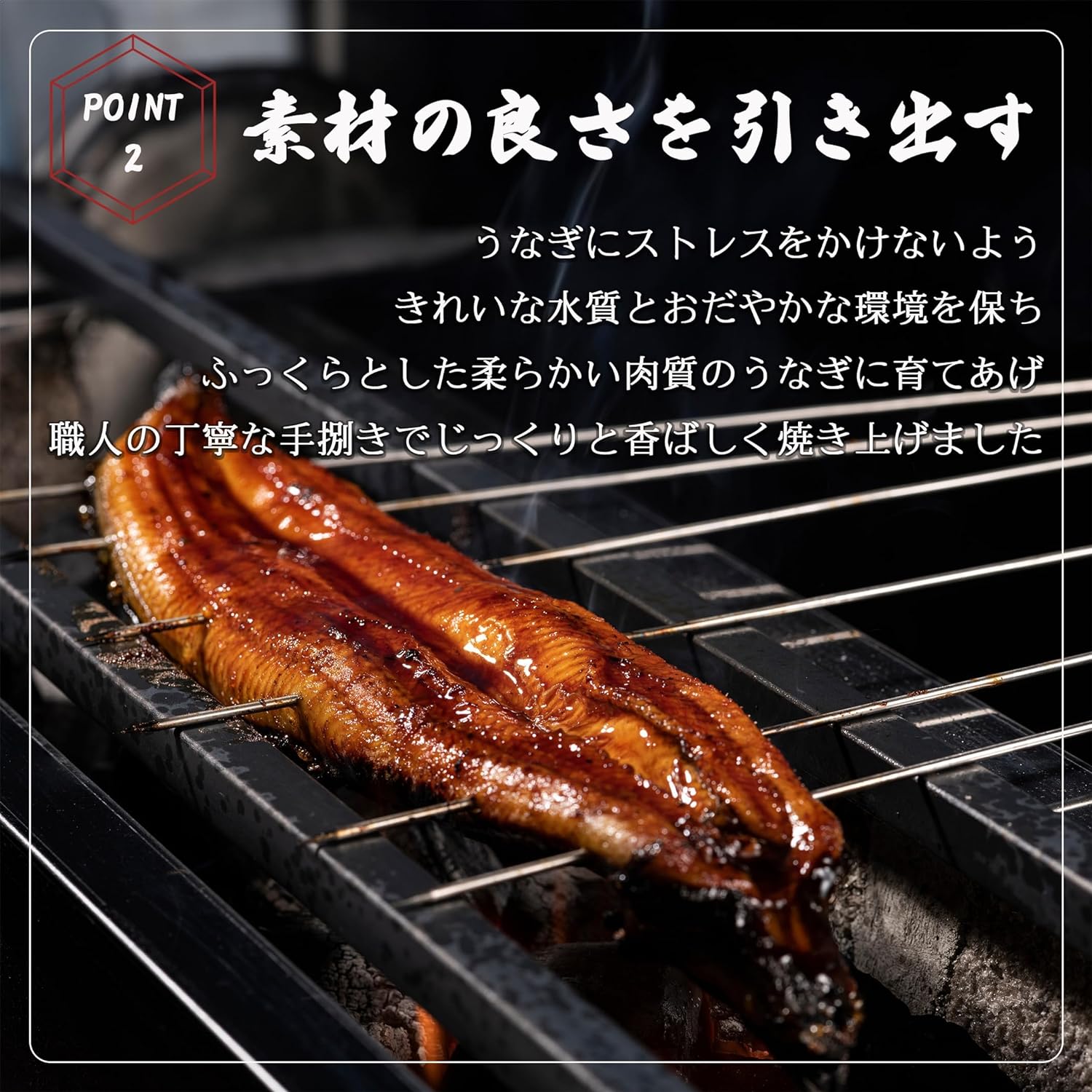 うなぎ 蒲焼き 【 超特大サイズ 2尾 】 約500g 簡易包装 自宅用 ウナギ 蒲焼 ひつまぶし お茶漬け うな重 うな丼 うなぎの蒲焼き 鰻 うな丼 特大 サイズ