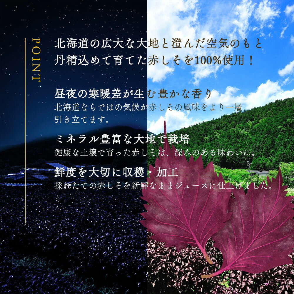 赤しそジュース 無糖 720ml 濃縮【 北海...の紹介画像3