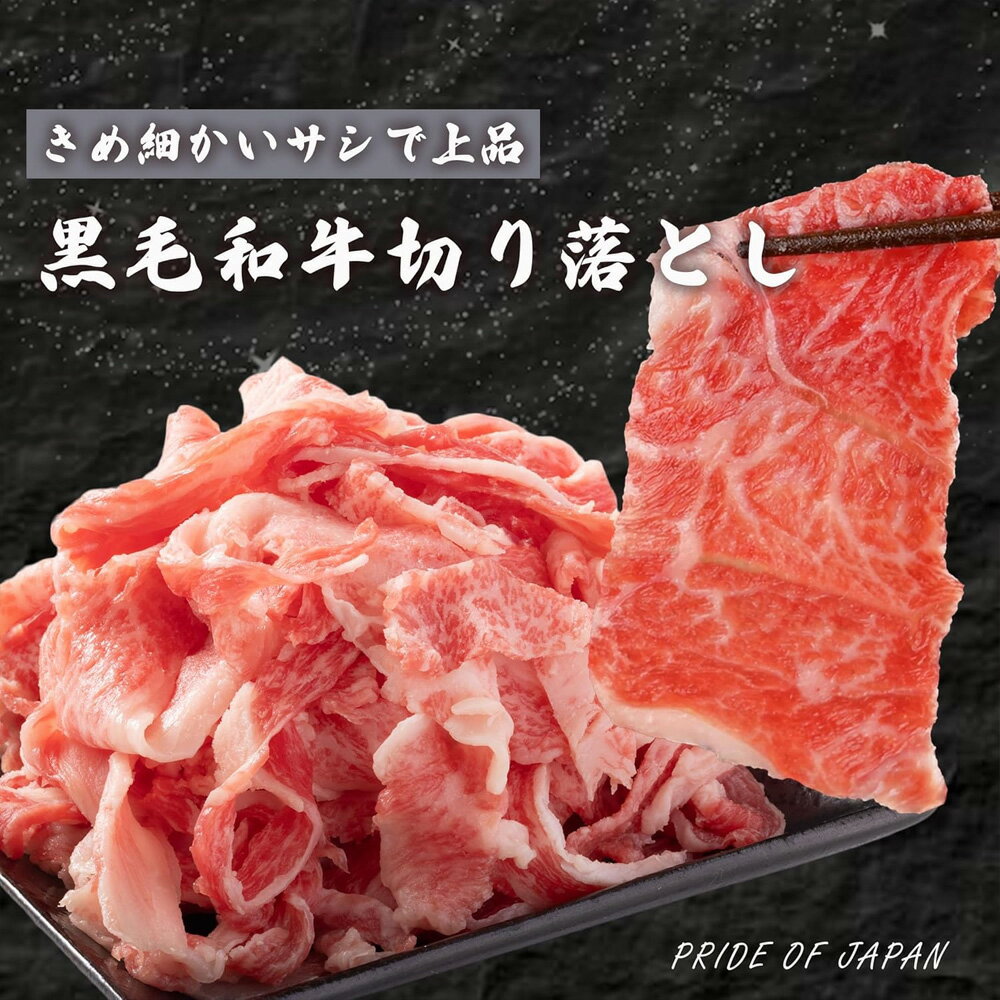 黒毛和牛 切り落とし 1kg (250g×4p) 牛肉 小分け 大容量 すき焼き 煮物 牛丼 炒め物 焼肉 和牛 牛切り落とし肉 すき焼き肉 黒毛和牛切り落とし 送料無料 ※一部地域を除く