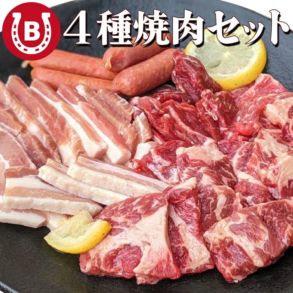 焼肉 BBQ セット 4種盛り 500g【牛ハラミ 牛カルビ 豚カルビ ソーセージ】約2人前 ハラミ カルビ ウィ..