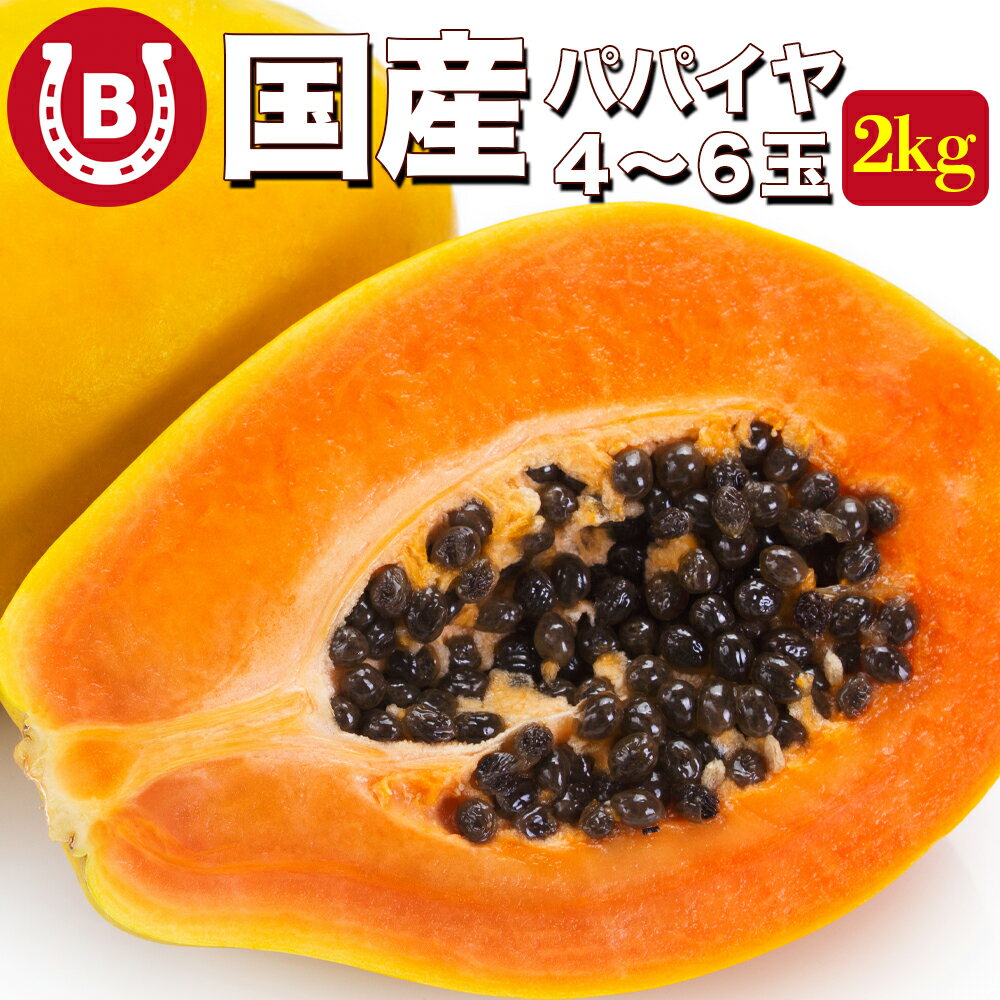 宮崎県産 パパイヤ 約2kg 4〜6玉 サンライズソロ とろける甘さ 国産 パパイヤ 宮崎 大玉 国産パパイヤ パパイア トロピカルフルーツ フルーツ 宮崎パパイヤ 送料無料 ※一部地域を除くのサムネイル