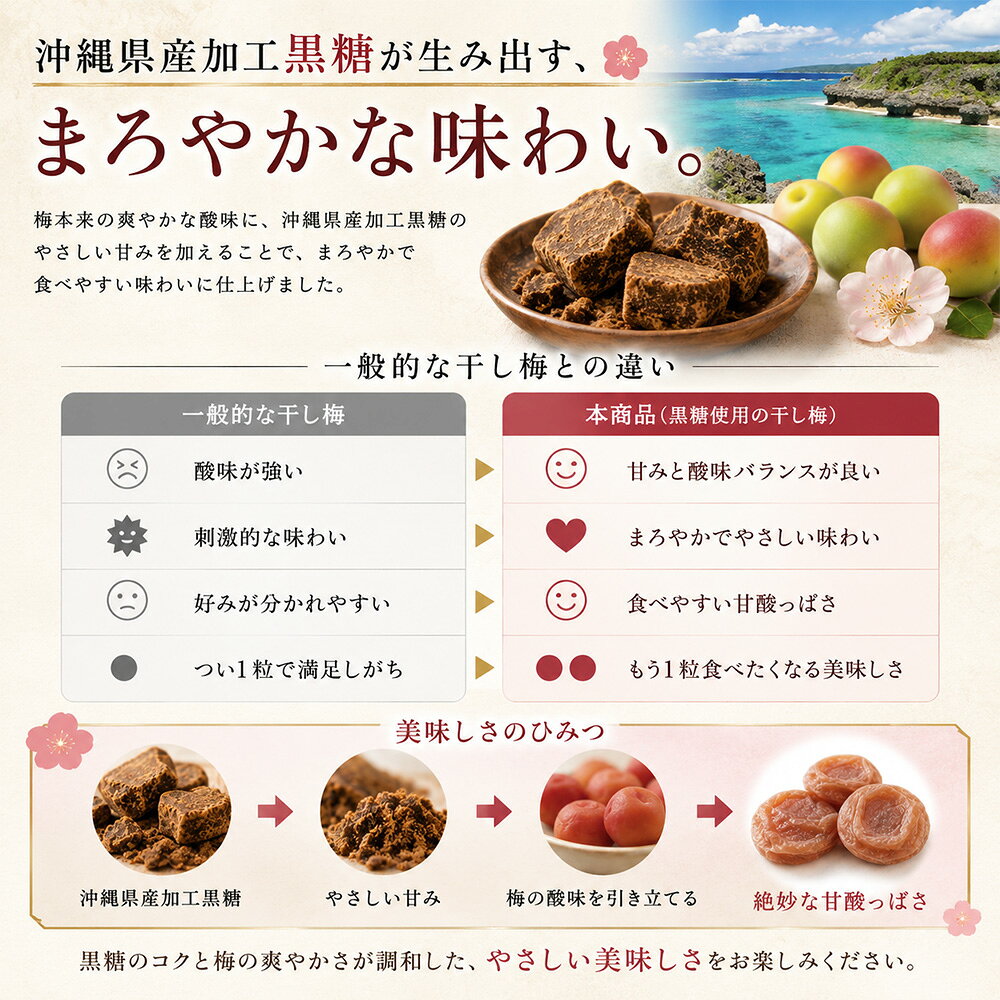 沖縄県産 加工黒糖使用 しっとり 種なし 干し梅 200g 個包装 やわらか食感 甘酸っ...
