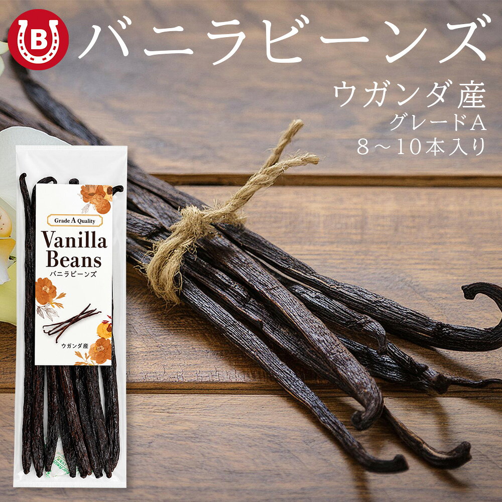 バニラビーンズ 40g 約8〜10本 グルメグレードA 16〜20cm ウガンダ産 ブルボン種 肉厚 しっとり 製菓用 バニラシード お菓子作り 無添加