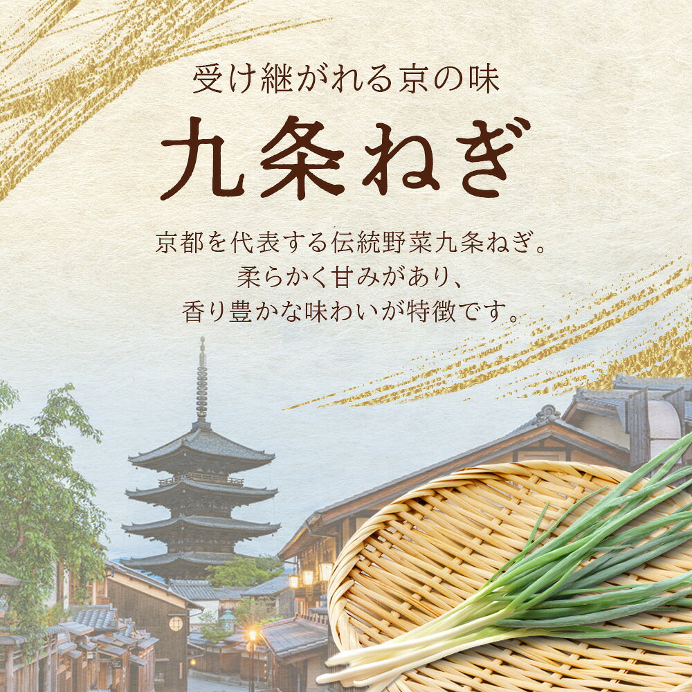 京都府産 九条ねぎ 乾燥ねぎ 20g 国産 乾燥ネギ ドライねぎ 無添加 ブドウ糖不使用...