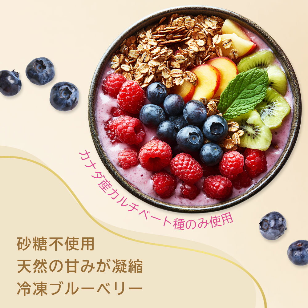 ブルーベリー 冷凍 500g【砂糖不使用 保存料添加物不使用】小分け カナダ産 ベリー カナダ産ブルーベリー 冷凍フルーツ 冷凍ブルーベリー 冷凍果実 フルーツ ブルーベリー フルーツ 果物 果実 スムージー トッピング 冷凍食品 送料無料 ※一部地域を除く
