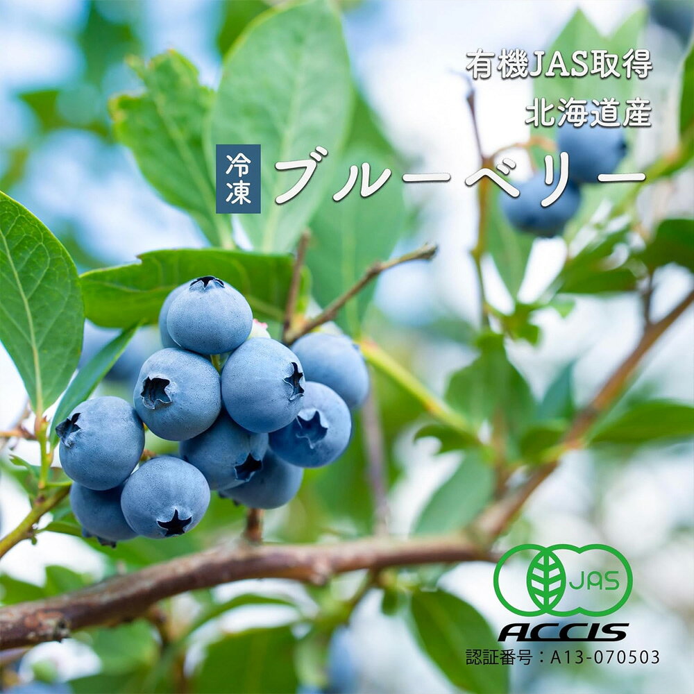ブルーベリー 北海道産 冷凍 500g オーガニック 有機 JAS認証 【砂糖不使用 保存料添加物不使用】小分け 国産 ベリー 国産ブルーベリー 冷凍フルーツ 冷凍ブルーベリー 冷凍果実 国産フルーツ オーガニックブルーベリー 冷凍食品 送料無料 ※一部地域を除く std-corp-10002665 BAYU STORE サンプル画像2