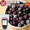 北海道産 冷凍 ブルーベリー 500g オーガニック 有機 JAS認証 【砂糖不使用 保存料添加物不使用】小分け 国産 ベリー 国産ブルーベリー 冷凍フルーツ 冷凍ブルーベリー 冷凍果実 国産フルーツ オーガニックブルーベリー 冷凍食品 送料無料 ※一部地域を除く