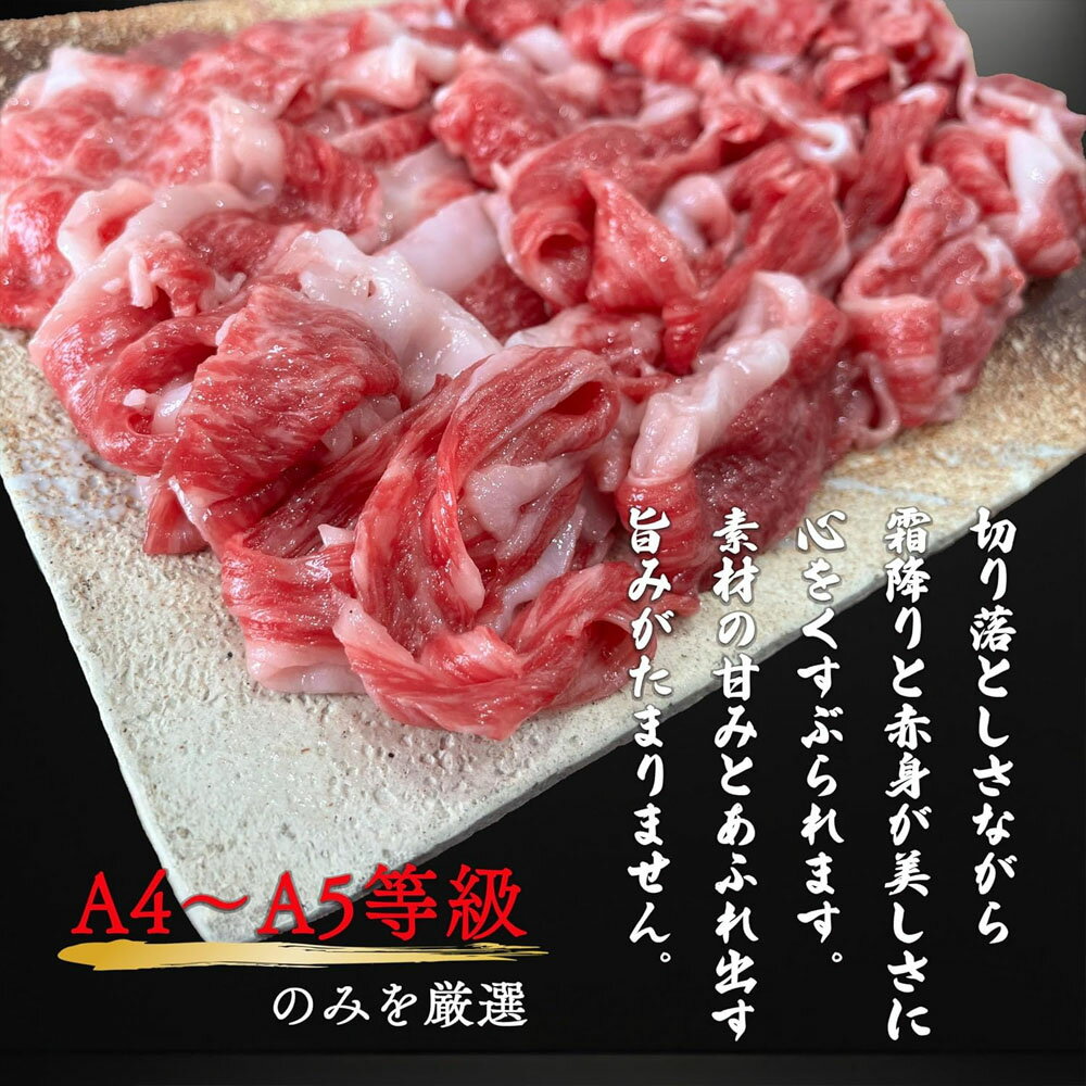 鹿児島黒牛 鹿児島牛 切り落とし 500g 大容量 牛肉 国産 肉 すき焼き しゃぶしゃぶ 牛丼 プルコギ 肉じゃが 焼肉 霜降り 赤身肉 牛 和牛 国産牛 黒毛和牛 食品 お肉 送料無料 ※一部地域を除く